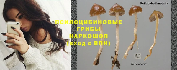 ECSTASY Лиски